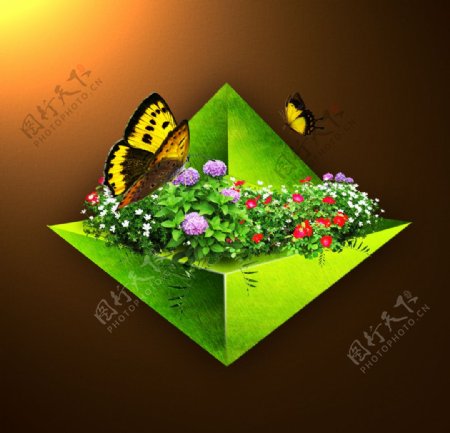 蝴蝶花草绿色三角