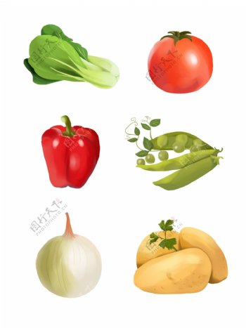 简约手绘蔬果小白菜番茄红椒豌豆洋葱土豆
