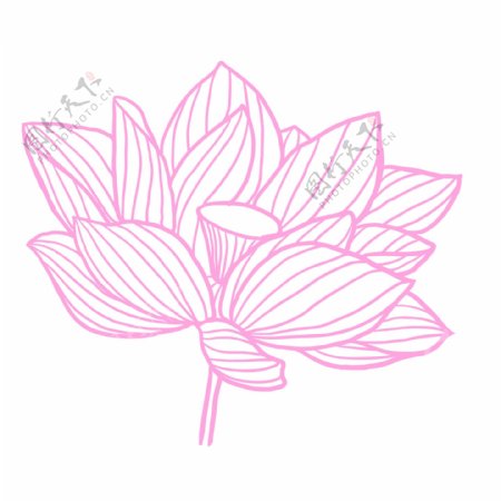 粉色荷花花朵装饰素材设计