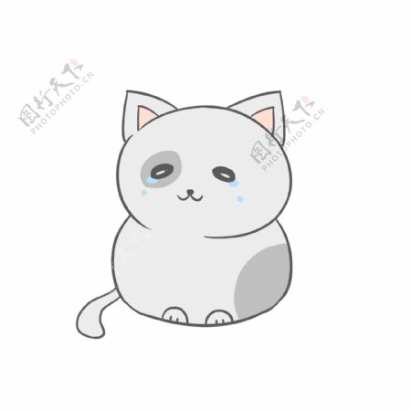 可爱卡通日系清新猫咪表情包通用