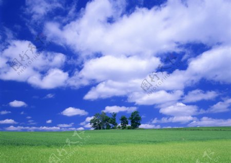蓝天白云草地