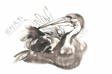 啄羽的鸟水墨画PNG免抠素材