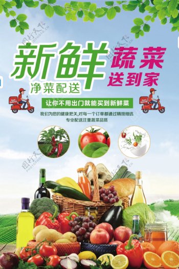 绿色新鲜蔬菜净菜配送海报