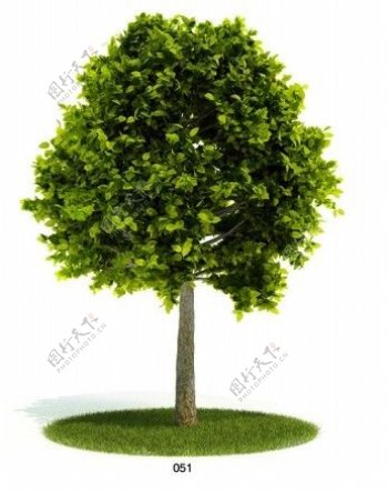 绿植乔木模型素材