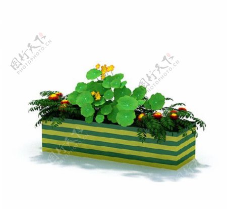 清新绿植盆栽3d模型
