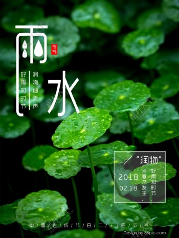 绿色植物水滴雨水中国二十四节气节日海报