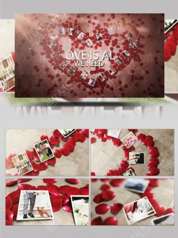 温馨玫瑰花瓣婚庆相册展示ae模板