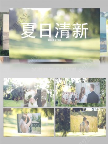 夏日清新柳树公园实拍后期婚礼电子相册