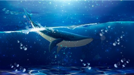 唯美梦幻鲸鱼治愈系海蓝时见鲸插画