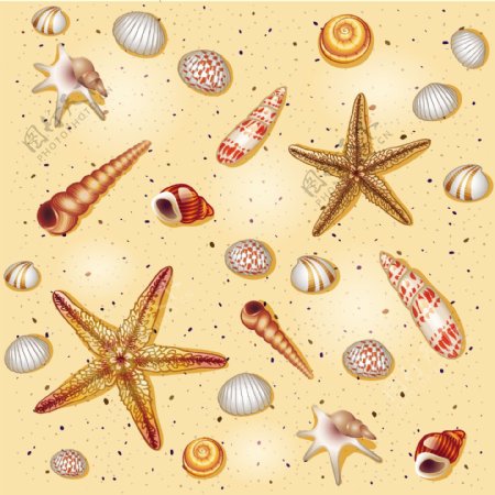 海星海螺花纹背景图