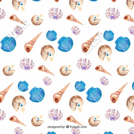 海螺贝壳花纹背景图