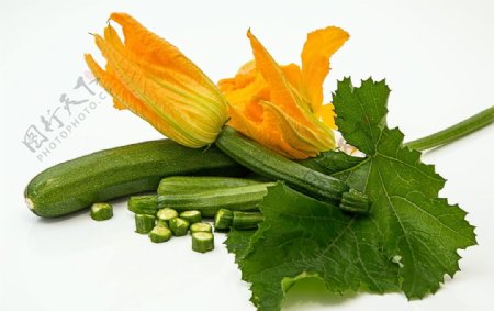 蔬菜南瓜和南瓜花