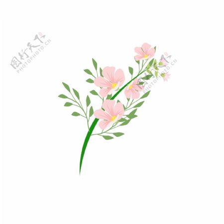 花草植物鲜花花朵粉色花骨朵