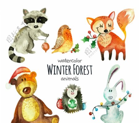 彩绘冬季森林动物矢量图