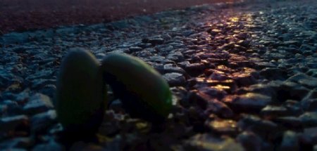 塑胶跑道的夕阳倒映
