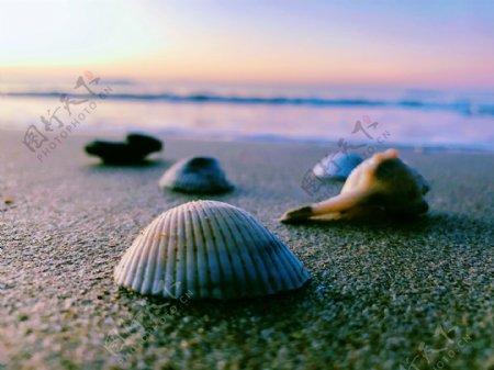三亚清晨的沙滩贝壳