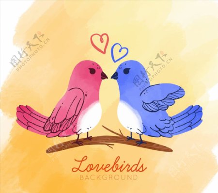彩绘情人节树枝上的情侣鸟矢量图