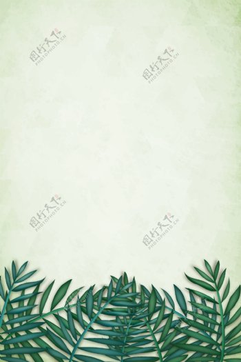 热带树叶
