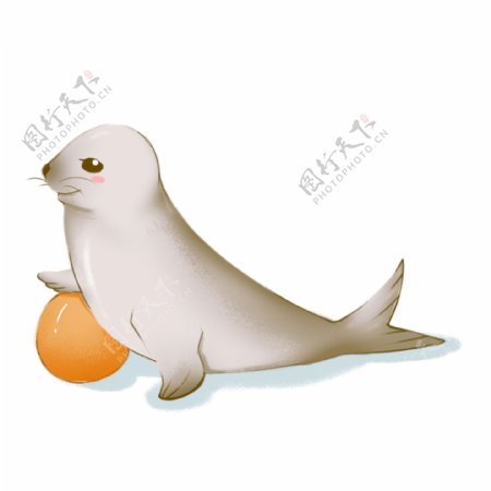 可爱手绘棕色海豹玩耍海豹宝宝