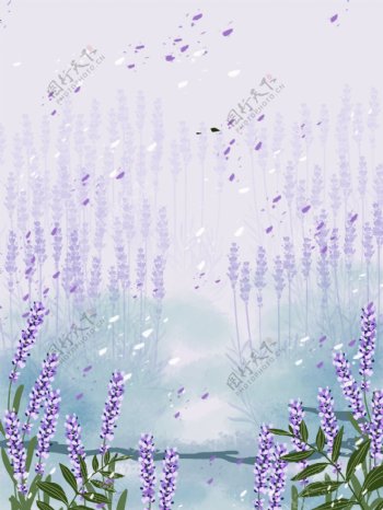 紫色薰衣草花海背景设计