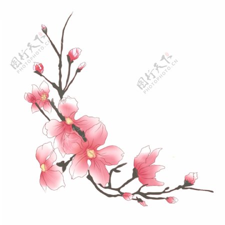手绘植物通用元素水墨中国风桃花
