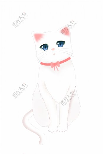 猫卡通猫白猫