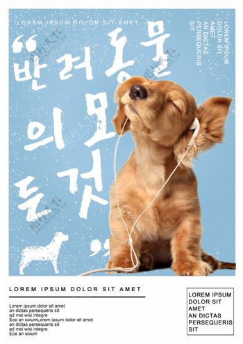 蓝色韩式宣传海报