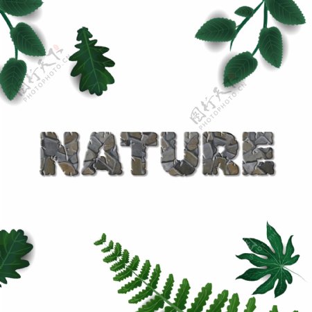 与叶子的简单的自然字体设计
