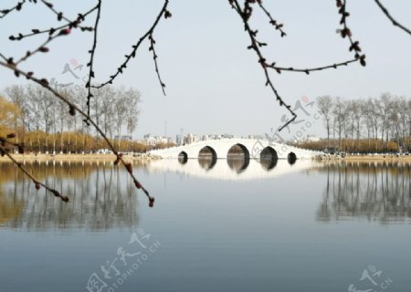 春天里的北京玉渊潭公园