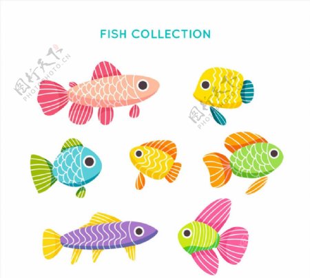 7款彩色花纹鱼类设计