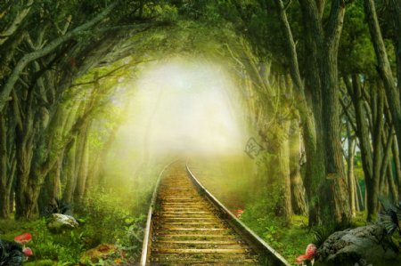 梦幻森林中的铁轨