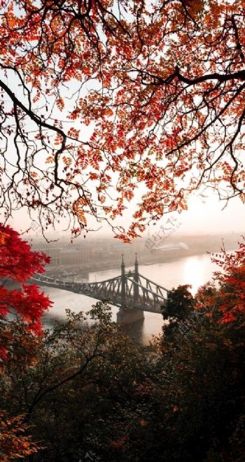 红叶晨光铁桥
