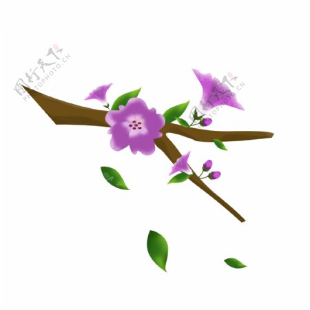 春天元素紫色花朵花枝花卉绿叶手绘简约风5