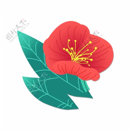 水彩花卉装饰PNG免抠图