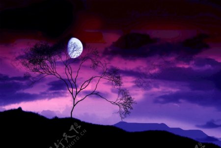 紫色紫红月亮夜景
