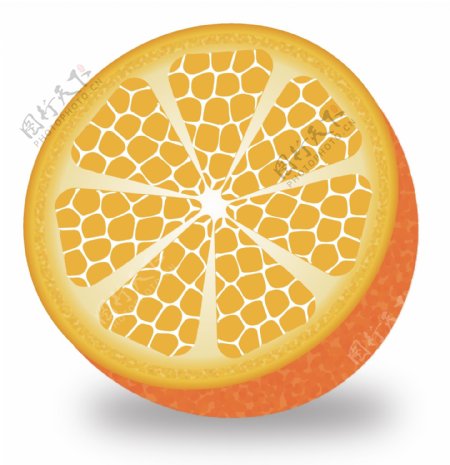 成熟水果的金黄色切开的半边橙子矢量元素
