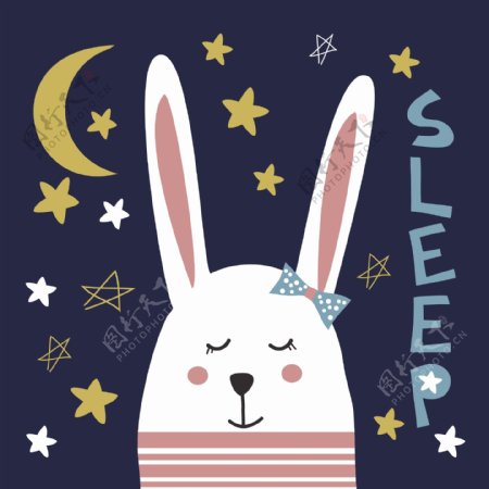 小兔子月亮