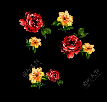 红黑手绘水彩玫瑰花