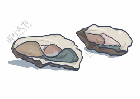 手绘海鲜牡蛎插画