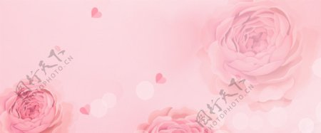 214情人节粉色花卉浪漫爱心背景