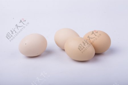 农家土特产之新鲜鸡蛋