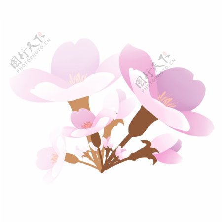 卡通粉色樱花插图