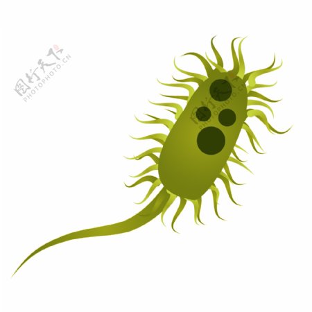 绿色长尾细菌插画