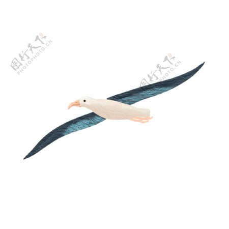 清新风海鸥插画PNG图片