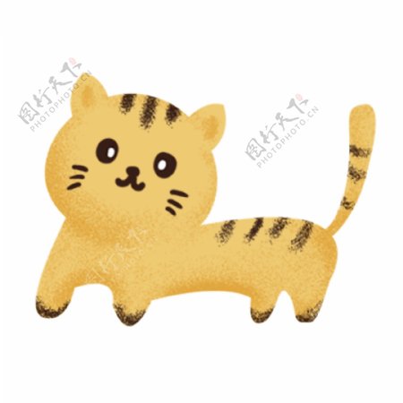 动物黄色猫手绘插画psd