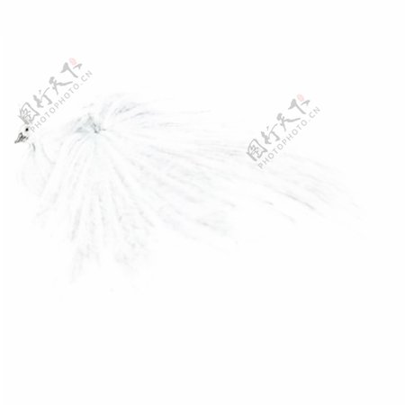手绘动物中国风白孔雀水墨画PNG素材
