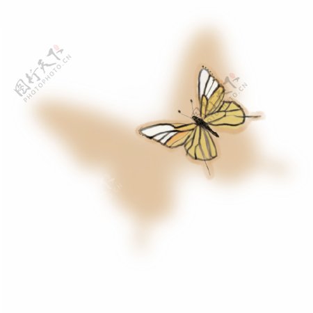 自然昆虫黄色水彩蝴蝶