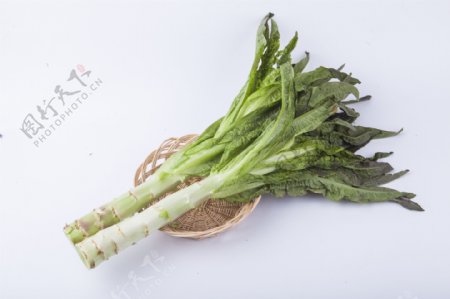 新鲜蔬菜莴苣实物图摄影图