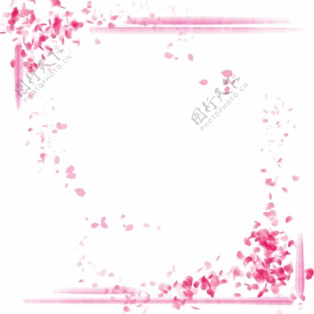 粉色方形花瓣边框