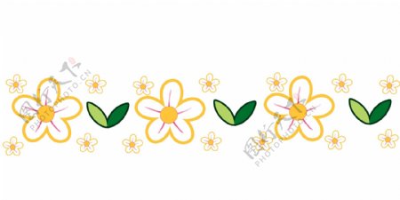 黄色花朵分割线装饰